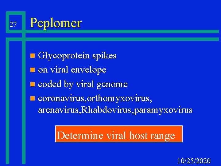 27 Peplomer Glycoprotein spikes n on viral envelope n coded by viral genome n