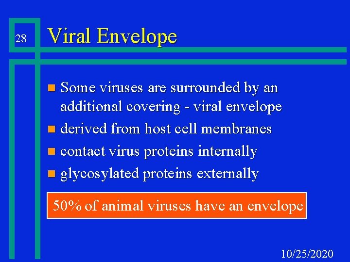28 Viral Envelope Some viruses are surrounded by an additional covering - viral envelope