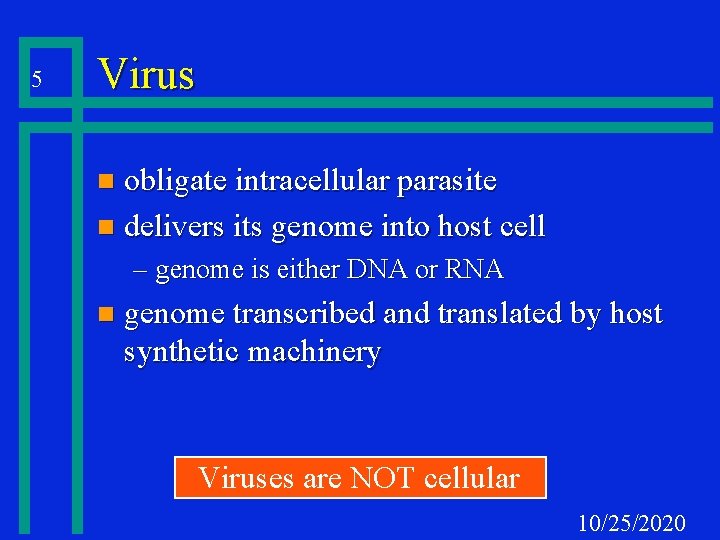 5 Virus obligate intracellular parasite n delivers its genome into host cell n –