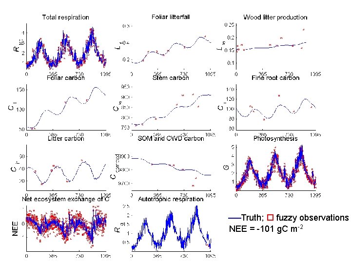  Truth; fuzzy observations NEE = -101 g. C m-2 