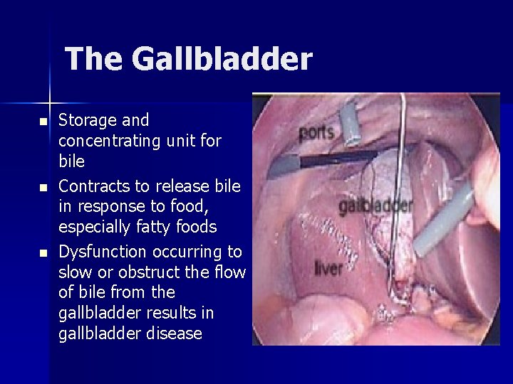 The Gallbladder n n n Storage and concentrating unit for bile Contracts to release