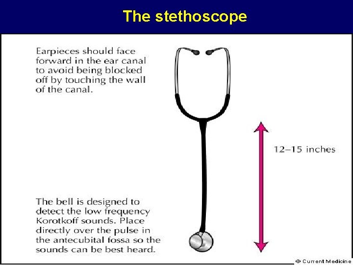 The stethoscope 