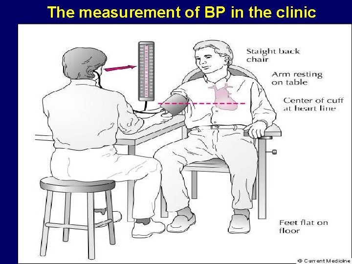 The measurement of BP in the clinic 