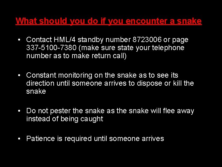 What should you do if you encounter a snake • Contact HML/4 standby number