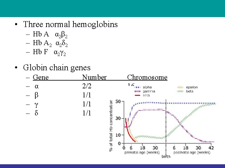  • Three normal hemoglobins – Hb A α 2β 2 – Hb A