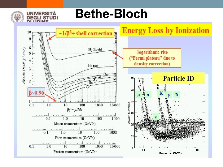 Bethe-Bloch 