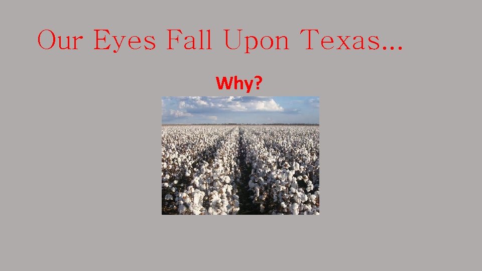 Our Eyes Fall Upon Texas. . . Why? 