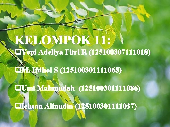 KELOMPOK 11: q. Yepi Adellya Fitri R (125100307111018) q. M. Ifdhol S (125100301111065) q.