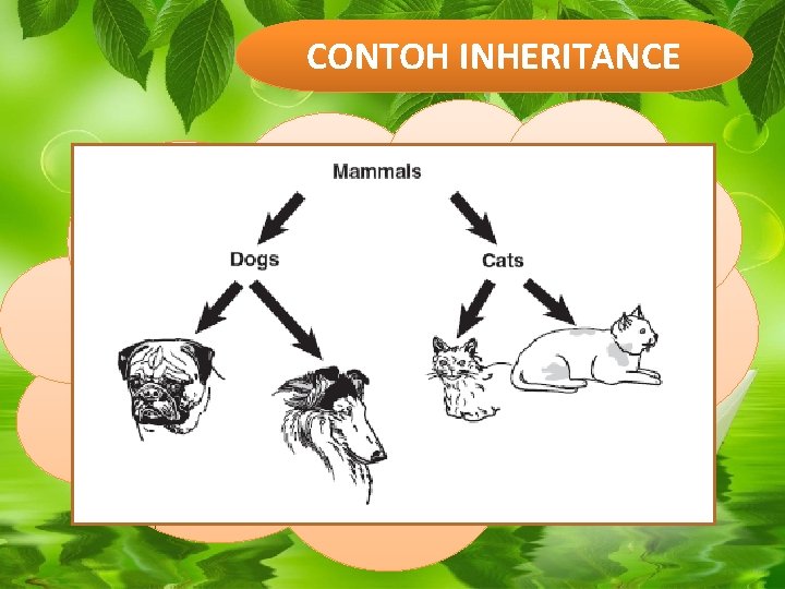 CONTOH INHERITANCE CONTOH INHERITANCE