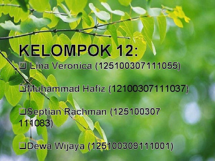 KELOMPOK 12: q Lina Veronica (125100307111055) q. Muhammad Hafiz (12100307111037) q. Septian Rachman (125100307