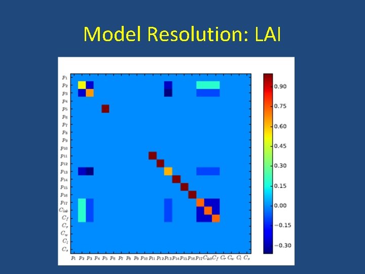 Model Resolution: LAI 