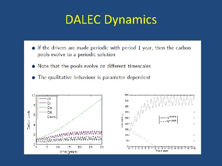 DALEC Dynamics 