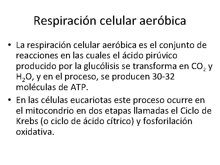 Respiración celular aeróbica • La respiración celular aeróbica es el conjunto de reacciones en