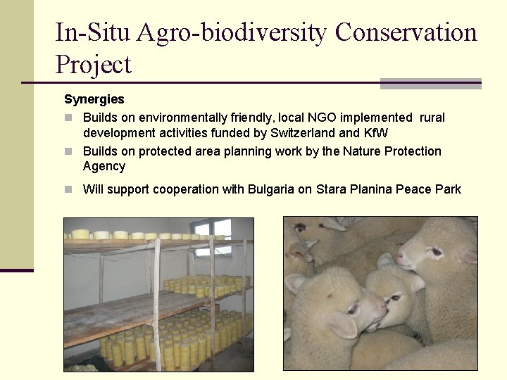 In-Situ Agro-biodiversity Conservation Project Synergies n Builds on environmentally friendly, local NGO implemented rural