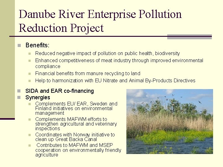Danube River Enterprise Pollution Reduction Project n Benefits: n n Reduced negative impact of
