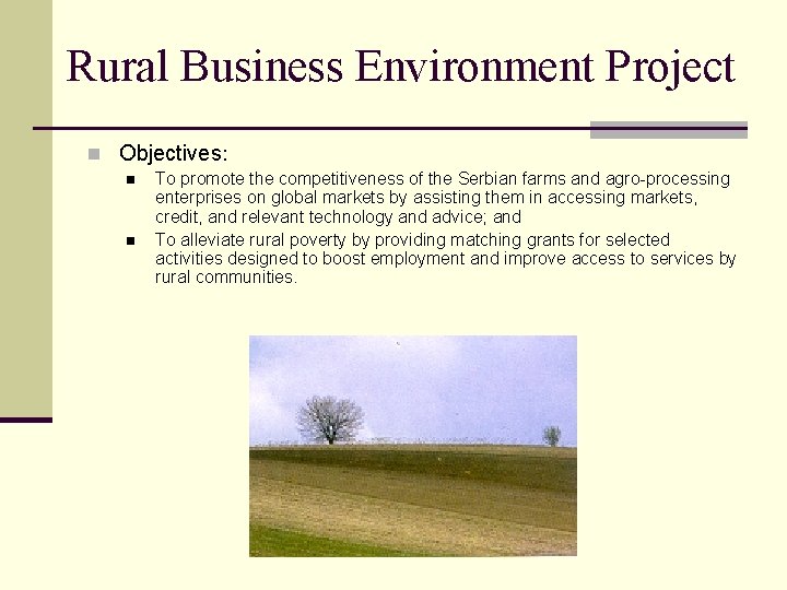 Rural Business Environment Project n Objectives: n n To promote the competitiveness of the