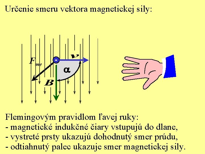 Určenie smeru vektora magnetickej sily: - a Flemingovým pravidlom ľavej ruky: - magnetické indukčné Určenie smeru vektora magnetickej sily: - a Flemingovým pravidlom ľavej ruky: - magnetické indukčné