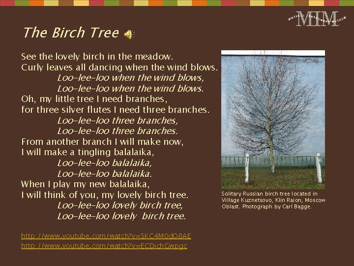 The Birch Tree See the lovely birch in the meadow. Curly leaves all dancing