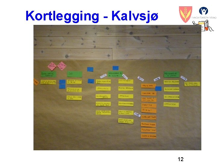 Kortlegging - Kalvsjø 12 