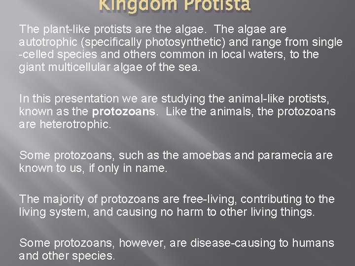 Kingdom Protista The plant-like protists are the algae. The algae are autotrophic (specifically photosynthetic)