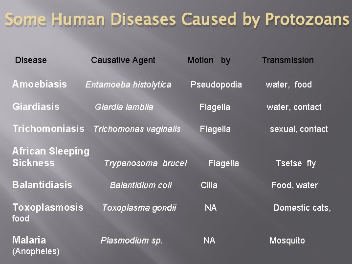 Some Human Diseases Caused by Protozoans Disease Amoebiasis Causative Agent Entamoeba histolytica Giardiasis Giardia