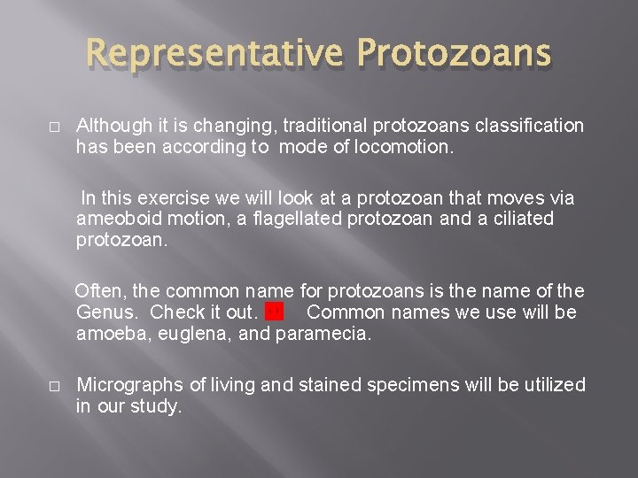 Representative Protozoans � Although it is changing, traditional protozoans classification has been according to