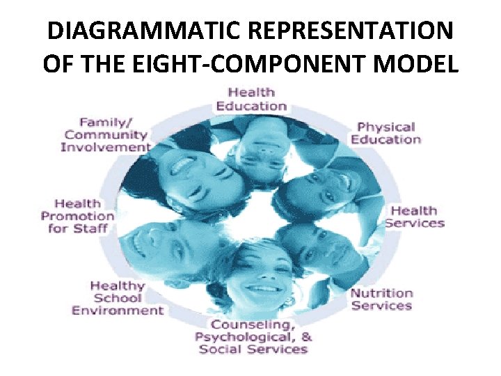 DIAGRAMMATIC REPRESENTATION OF THE EIGHT-COMPONENT MODEL 