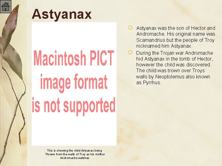 Astyanax was the son of Hector and Andromache. His original name was Scamandrius but