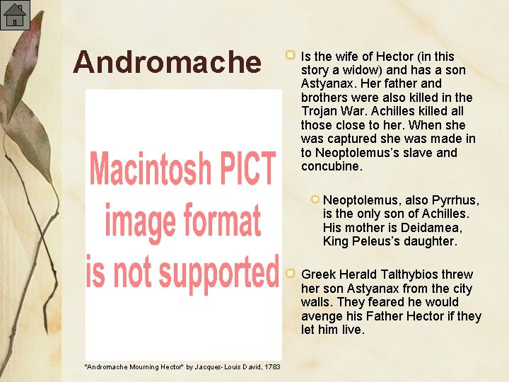 Andromache Is the wife of Hector (in this story a widow) and has a