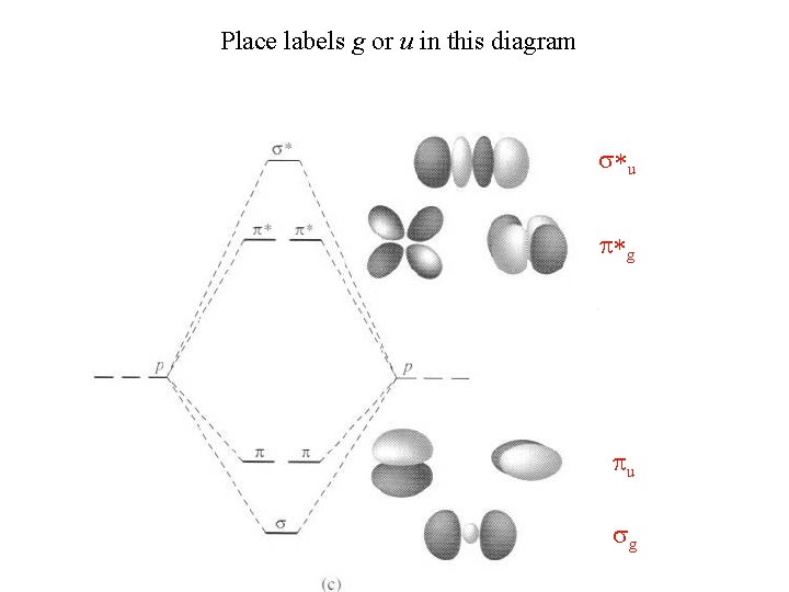 Place labels g or u in this diagram s*u p*g pu sg 