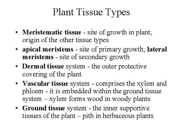 Plant Tissue Types • Meristematic tissue - site of growth in plant; origin of