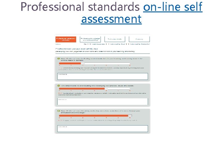 Professional standards on-line self assessment 