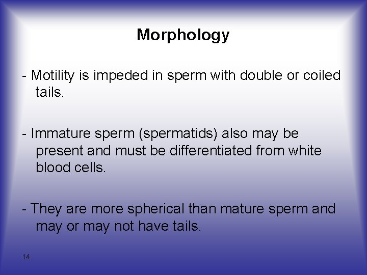 Morphology - Motility is impeded in sperm with double or coiled tails. - Immature