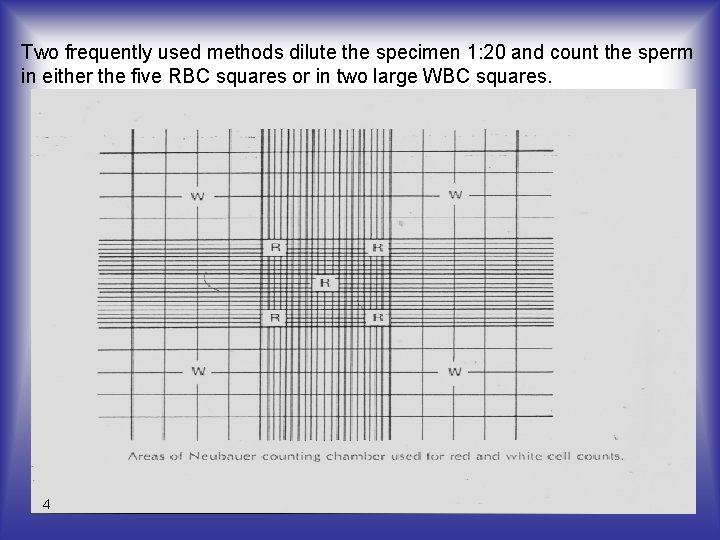 Two frequently used methods dilute the specimen 1: 20 and count the sperm in