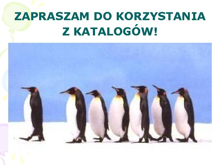 ZAPRASZAM DO KORZYSTANIA Z KATALOGÓW! 