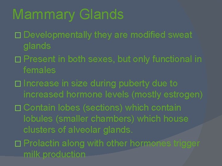 Mammary Glands � Developmentally they are modified sweat glands � Present in both sexes,