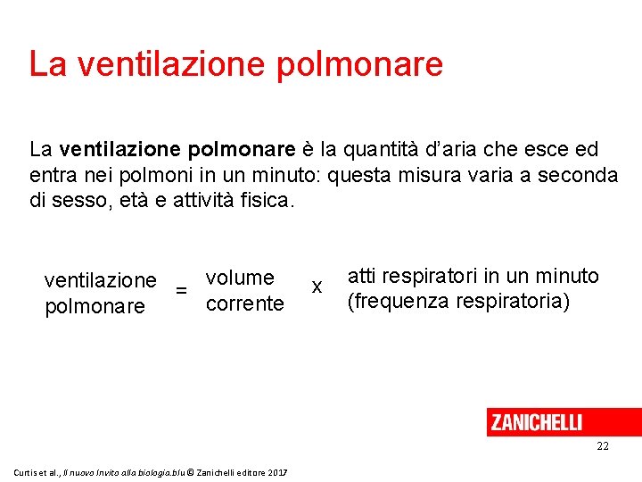 La ventilazione polmonare è la quantità d’aria che esce ed entra nei polmoni in