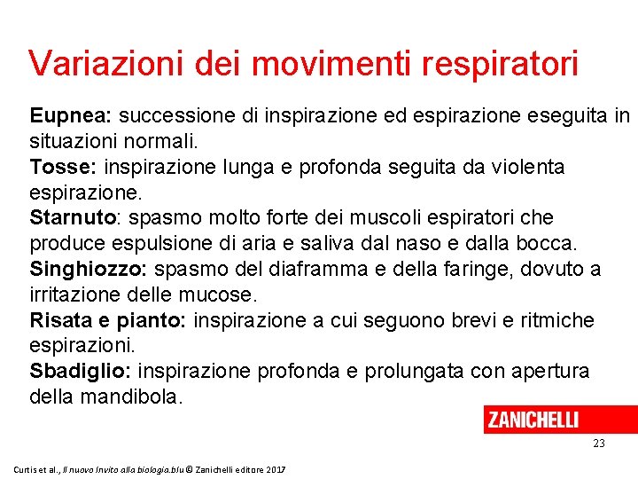 Variazioni dei movimenti respiratori Eupnea: successione di inspirazione ed espirazione eseguita in situazioni normali.