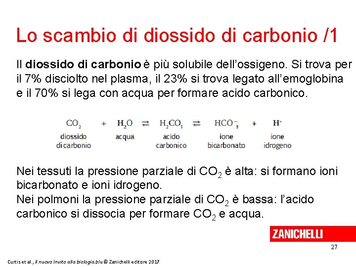 Lo scambio di diossido di carbonio /1 Il diossido di carbonio è più solubile