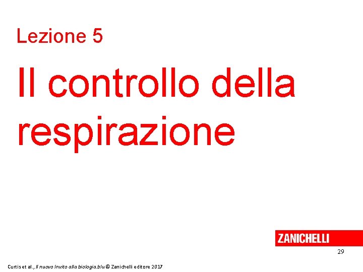 Lezione 5 Il controllo della respirazione 29 Curtis et al. , Il nuovo Invito