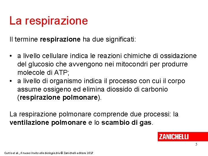 La respirazione Il termine respirazione ha due significati: • a livello cellulare indica le