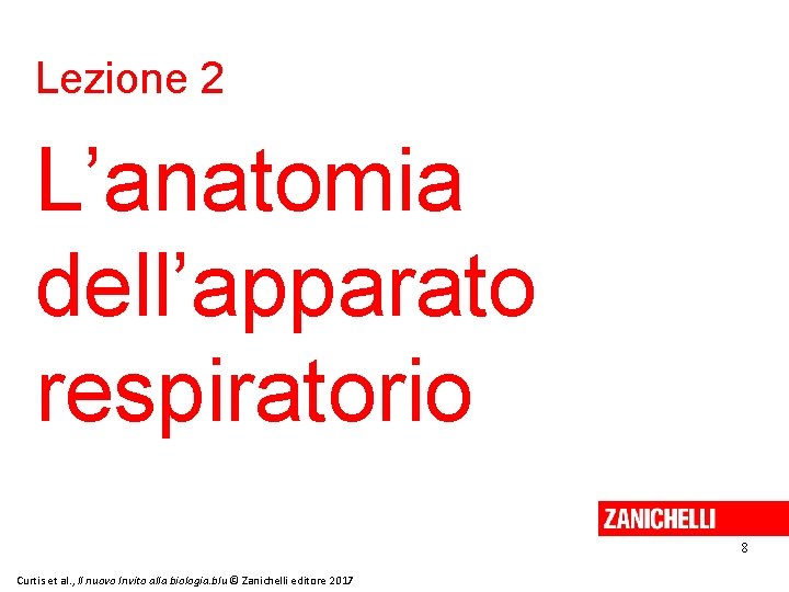 Lezione 2 L’anatomia dell’apparato respiratorio 8 Curtis et al. , Il nuovo Invito alla