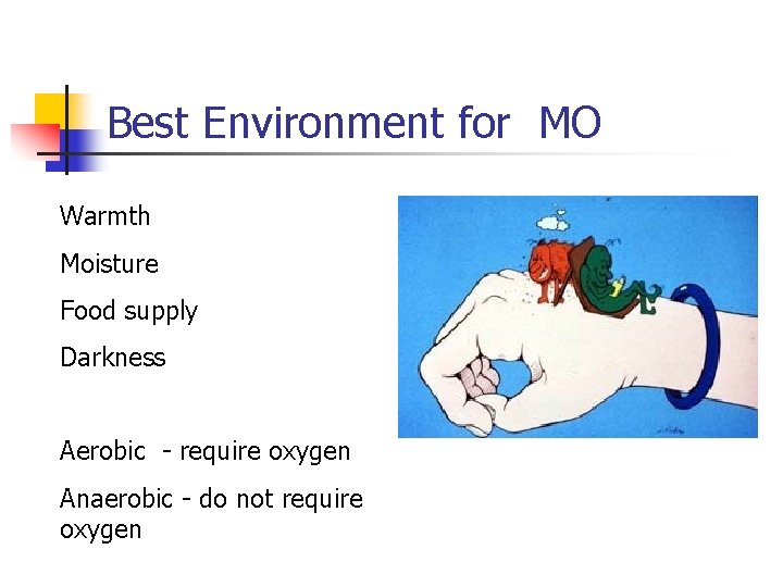 Best Environment for MO Warmth Moisture Food supply Darkness Aerobic - require oxygen Anaerobic