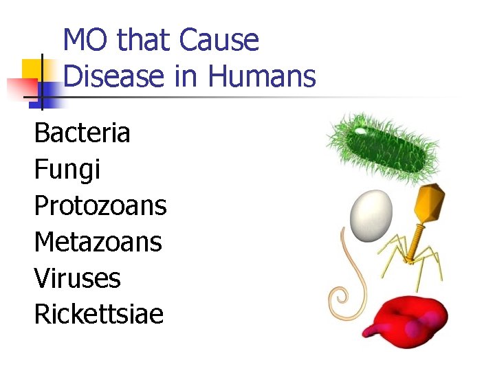 MO that Cause Disease in Humans Bacteria Fungi Protozoans Metazoans Viruses Rickettsiae 