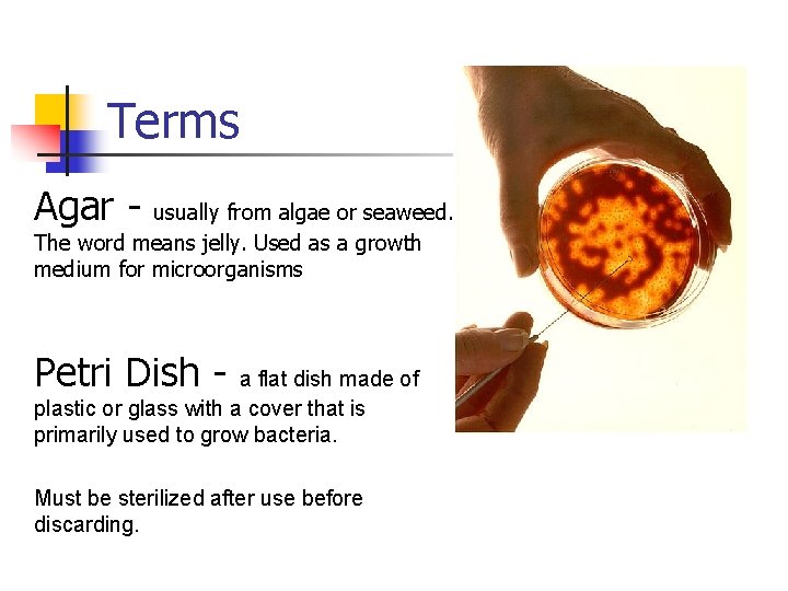 Terms Agar - usually from algae or seaweed. The word means jelly. Used as