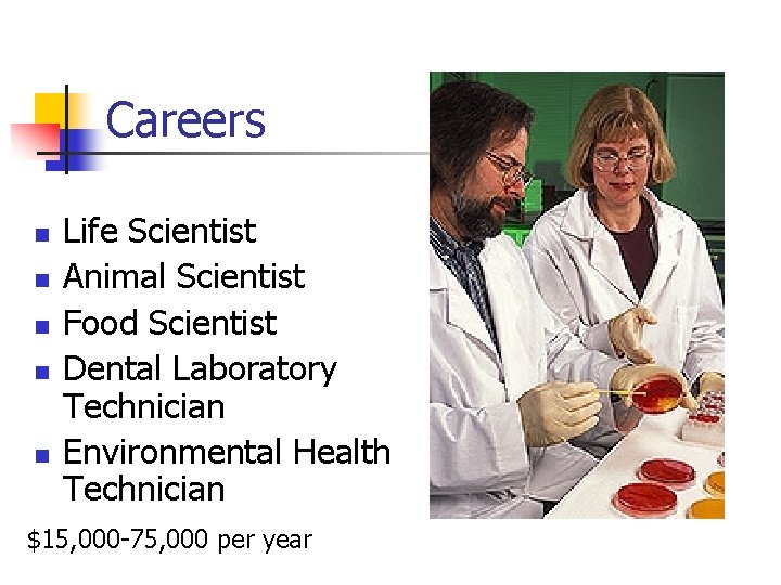 Careers n n n Life Scientist Animal Scientist Food Scientist Dental Laboratory Technician Environmental