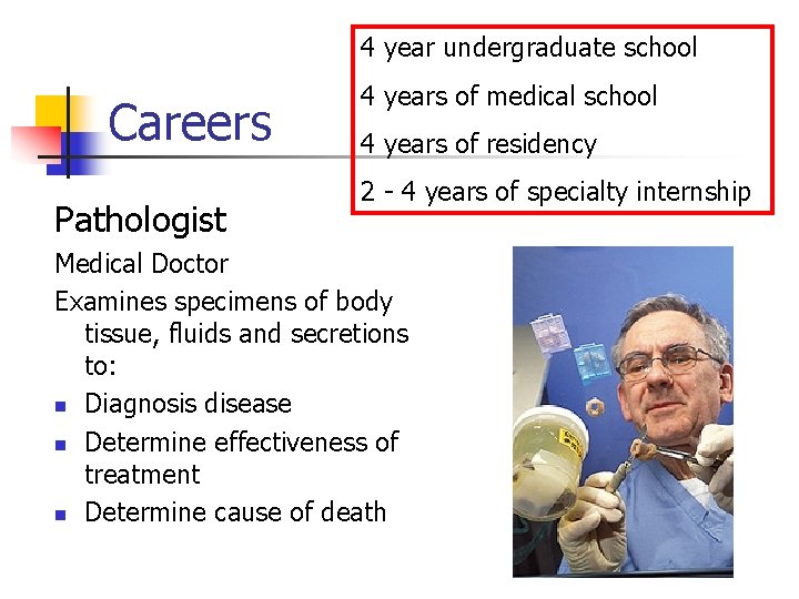 4 year undergraduate school Careers Pathologist 4 years of medical school 4 years of