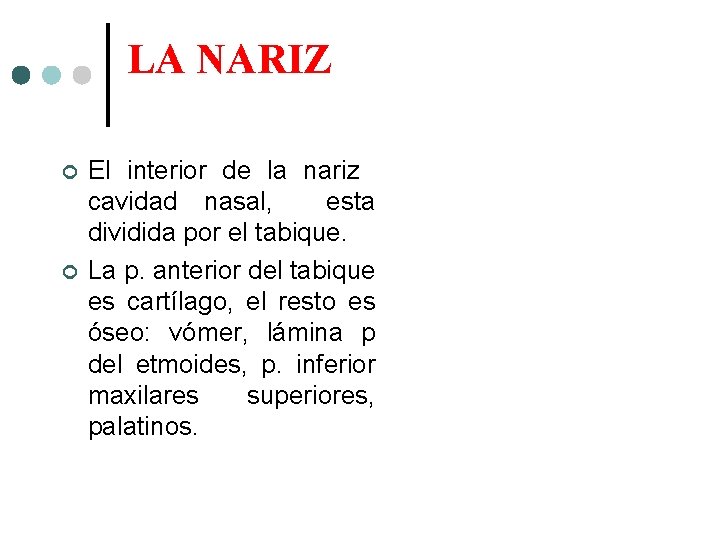 LA NARIZ El interior de la nariz cavidad nasal, esta dividida por el tabique.