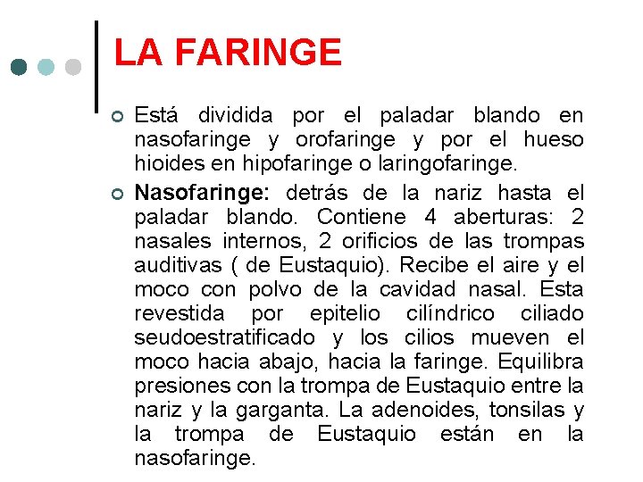 LA FARINGE Está dividida por el paladar blando en nasofaringe y orofaringe y por