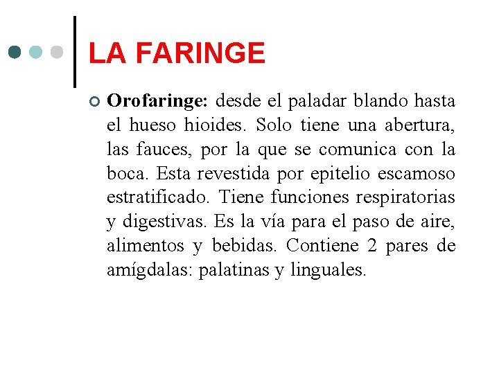 LA FARINGE Orofaringe: desde el paladar blando hasta el hueso hioides. Solo tiene una